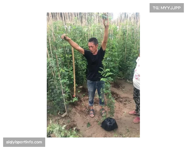 专栏：比赛节奏日益加快，老将们的身体是否已达到极限？